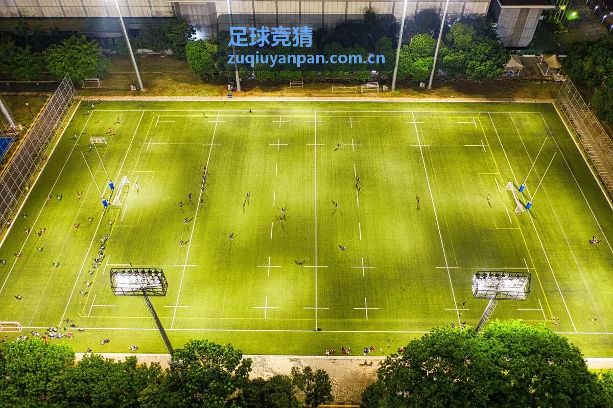 足球竞猜战术分析图表